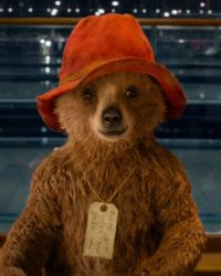 Paddington 3 : c'est officiel, le petit ours va retourner au Pérou !