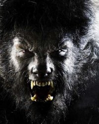 Le Loup-Garou : prochain monstre ressuscité par Universal