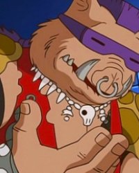 Ninja Turtles 2 : Bebop, Rocksteady, Casey Jones et un nouveau réalisateur !