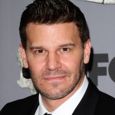 David Boreanaz