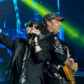 Scorpions