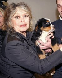 Cirques d'animaux : Brigitte Bardot tacle Stéphanie de Monaco