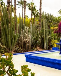 Jardin Majorelle : l'histoire du paradis bleu d'Yves Saint Laurent