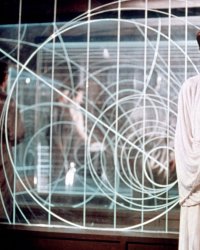Star Wars : comment réaliser les macarons de la princesse Leia ?