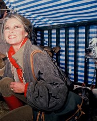 Brigitte Bardot : sa jeunesse passée sous le signe de l'humiliation