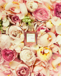 Saint-Valentin : 10 parfums pour l'envoûter
