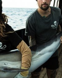 Greenpeace, Goodplanet, WWF ... ces ONG écolo dans lesquelles s'engager