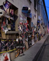 Festival d'Avignon chamboulé : les artistes et leurs alternatives ont du génie