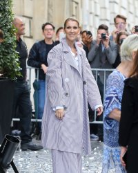 Céline Dion transformée : son nouveau look ne fait pas l'unanimité