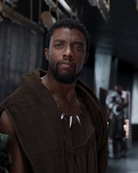 Marvel ne veut pas de l'Oscar du Meilleur film populaire pour Black Panther