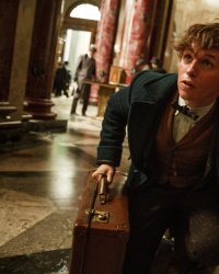 Les Animaux fantastiques : des personnages de Harry Potter de retour ?