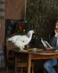 Tourner avec une poule est un "voyage en humilité" selon Guillaume de Tonquédec