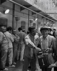 Bourvil : le supplice qu'il a vécu sur le tournage du Cerveau avec Belmondo
