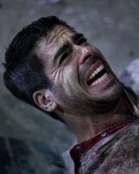 Eli Roth va réaliser un film de requin géant préhistorique
