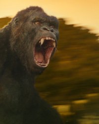 Secrets de tournage : Kong Skull Island