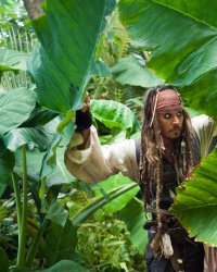 Pirates des Caraïbes : le reboot se fera bien sans Johnny Depp
