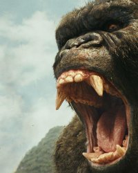 Godzilla vs. Kong a trouvé son réalisateur