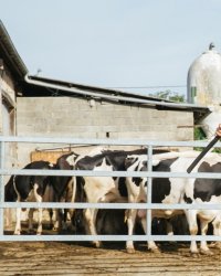 Trois films où la campagne est à l'honneur