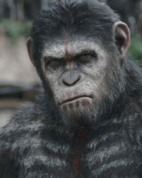 Les Planète des singes 3 a trouvé son acteur vedette