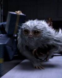 Secrets de tournage : Les Animaux fantastiques