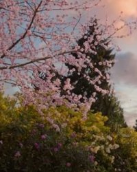 Mary Poppins dévoile son univers enchanteur dans une bande-annonce