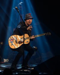 3 chansons qui célèbrent les chats