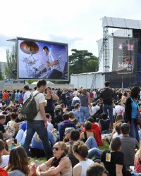 Quels artistes vont squatter les festivals français cet été ?