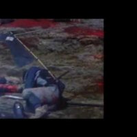 Kagemusha, l'ombre du guerrier - Extrait 3 - VO - (1980)