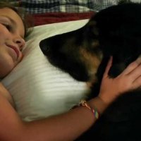 Shakey, un amour de chien - bande annonce - VOST - (2012)