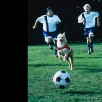 Soccer Dog - bande annonce - VO - (1999)