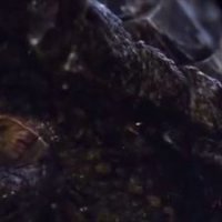 Coeur de dragon 3 - La malédiction du sorcier - bande annonce - VO - (2015)