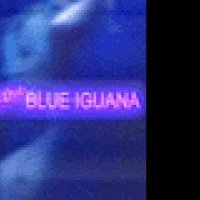 Dancing at the Blue Iguana - Bande annonce 1 - VO - (2000)
