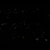 Furia - bande annonce - (2000)