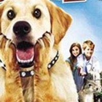 Diamond Dog : chien milliardaire - bande annonce - VO - (2008)