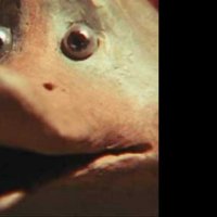 Le Vilain petit canard - Bande annonce 2 - VF - (2010)