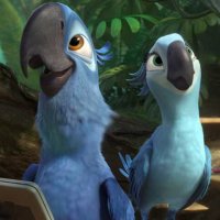 Rio 2 - Bande annonce 6 - VO - (2014)