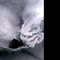 La Planète Blanche - Teaser 2 - VF - (2006)