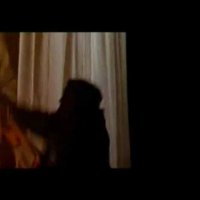 Wanted - Teaser 4 - VF - (2003)