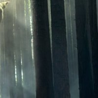 Peter et Elliott le dragon - teaser - VO - (2016)