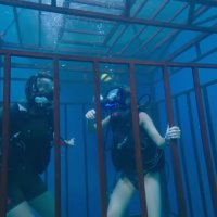 47 Meters Down - bande annonce - VOST - (2017)