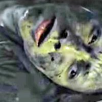 Blair Witch - teaser 2 - VO - (2016)