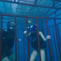 47 Meters Down - Bande annonce 2 - VF - (2017)