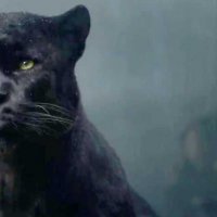 Le Livre de la jungle - Teaser 12 - VO - (2016)