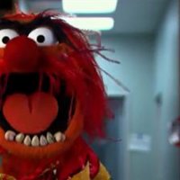 Muppets most wanted - teaser - VO - (2014)