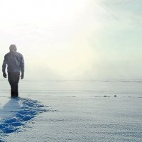 La Glace et le Ciel - bande annonce - (2015)