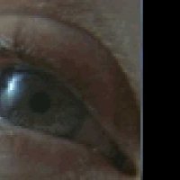 Hannibal - Teaser 5 - VO - (2001)