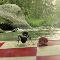 Minuscule - La vallée des fourmis perdues - teaser - VF - (2014)