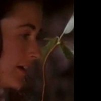 Les Amants du Nouveau monde - bande annonce - VO - (1996)