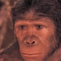 La Planète des singes : l'affrontement - Teaser 20 - VO - (2014)
