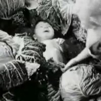 Miracle à Milan - bande annonce - VO - (1951)